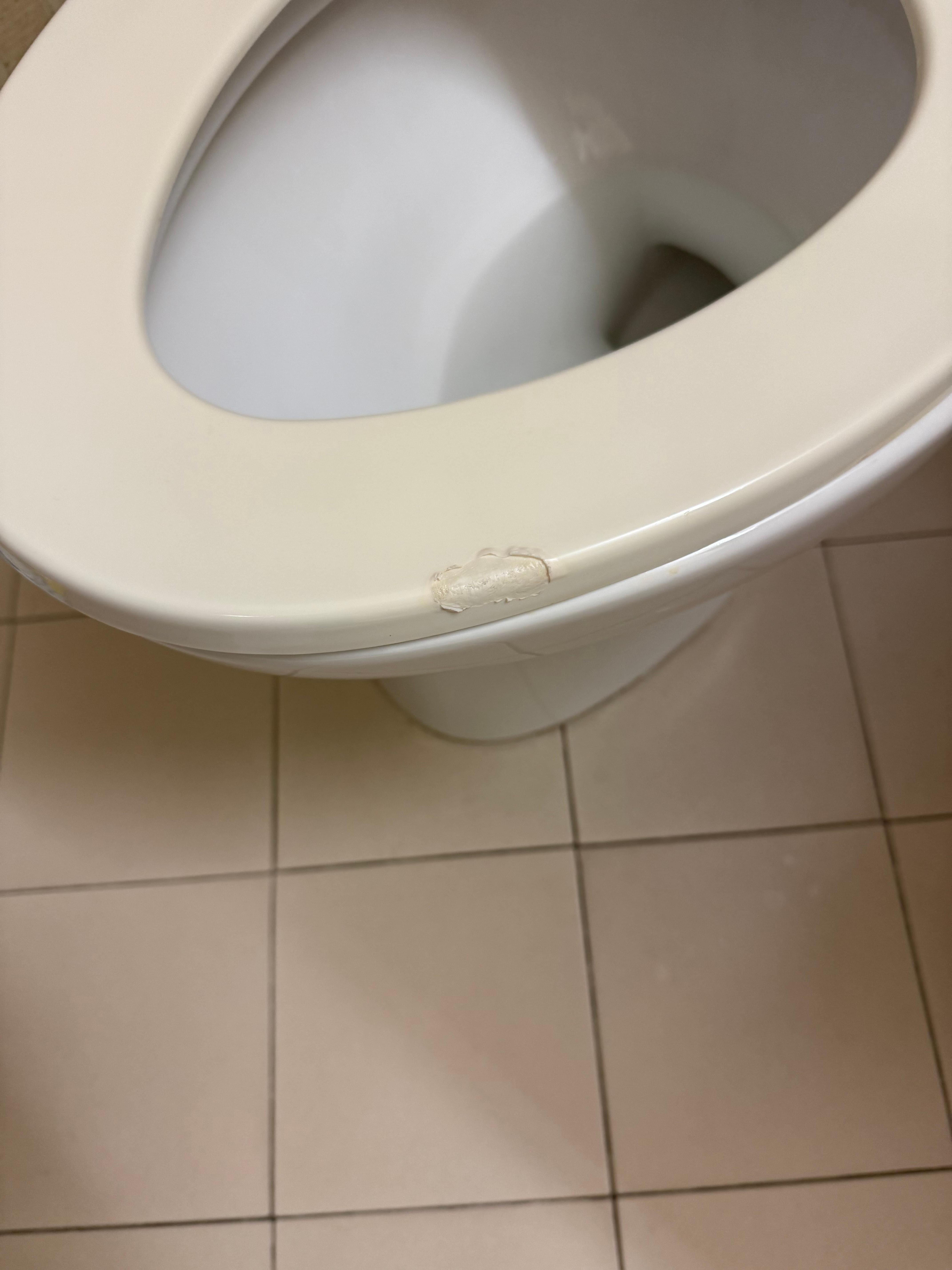 Melted toilet seat