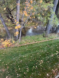 View of Little Goose Creek from the living room window.