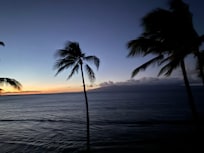 Another view from lanai