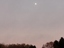 Beautiful fog above the campgrounds