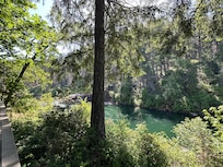 Our view from the backdoor