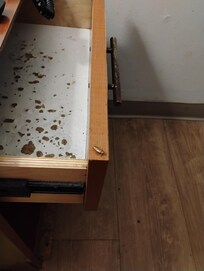 Roaches start to show up out that drawer when I waist an expensive can of DEEP WOODS OFF WITH EXTRA DEET on all of my stuff to keep them from traveling with me home.