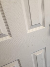Bathroom door
