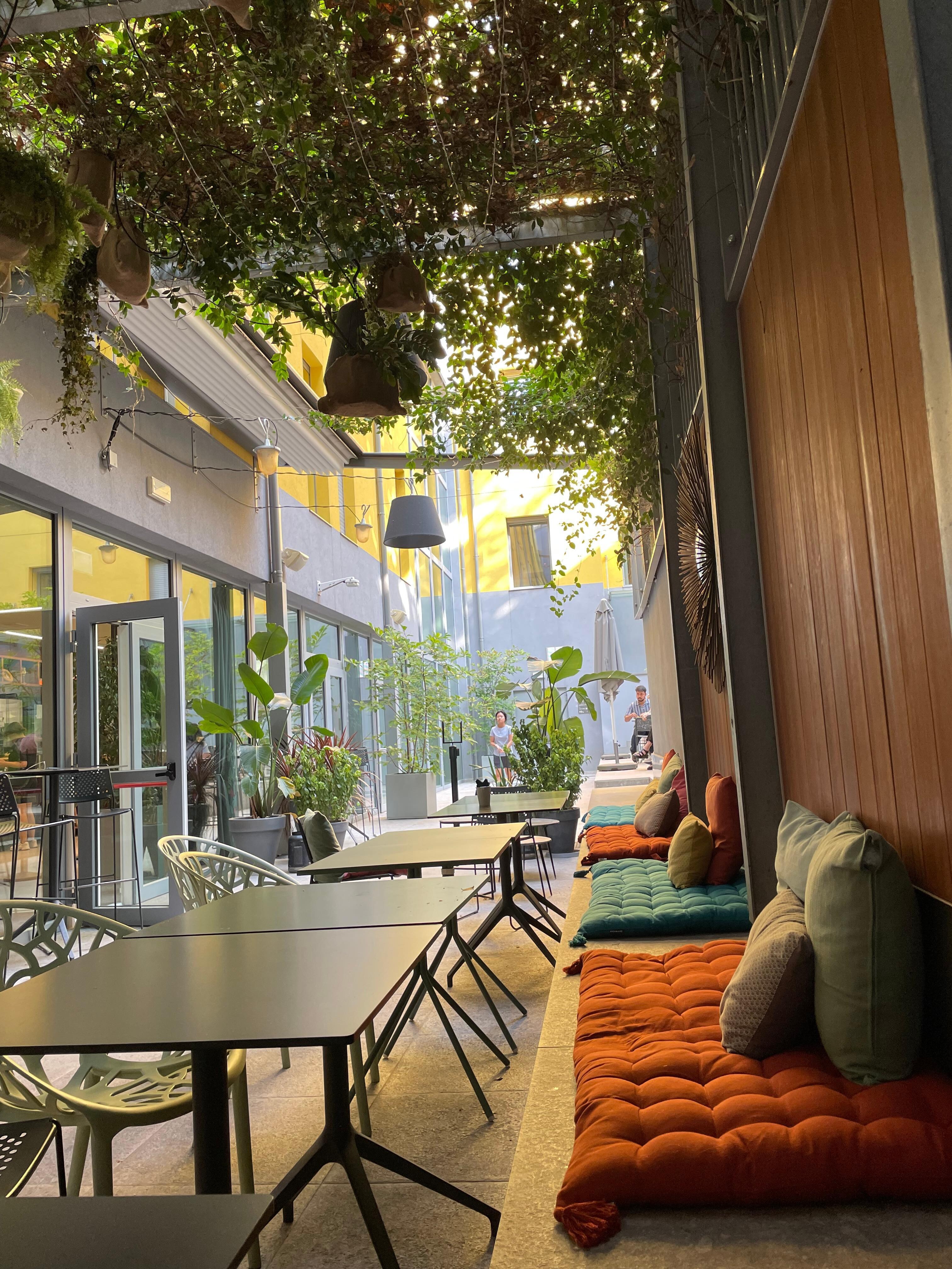 The garden at breakfast time