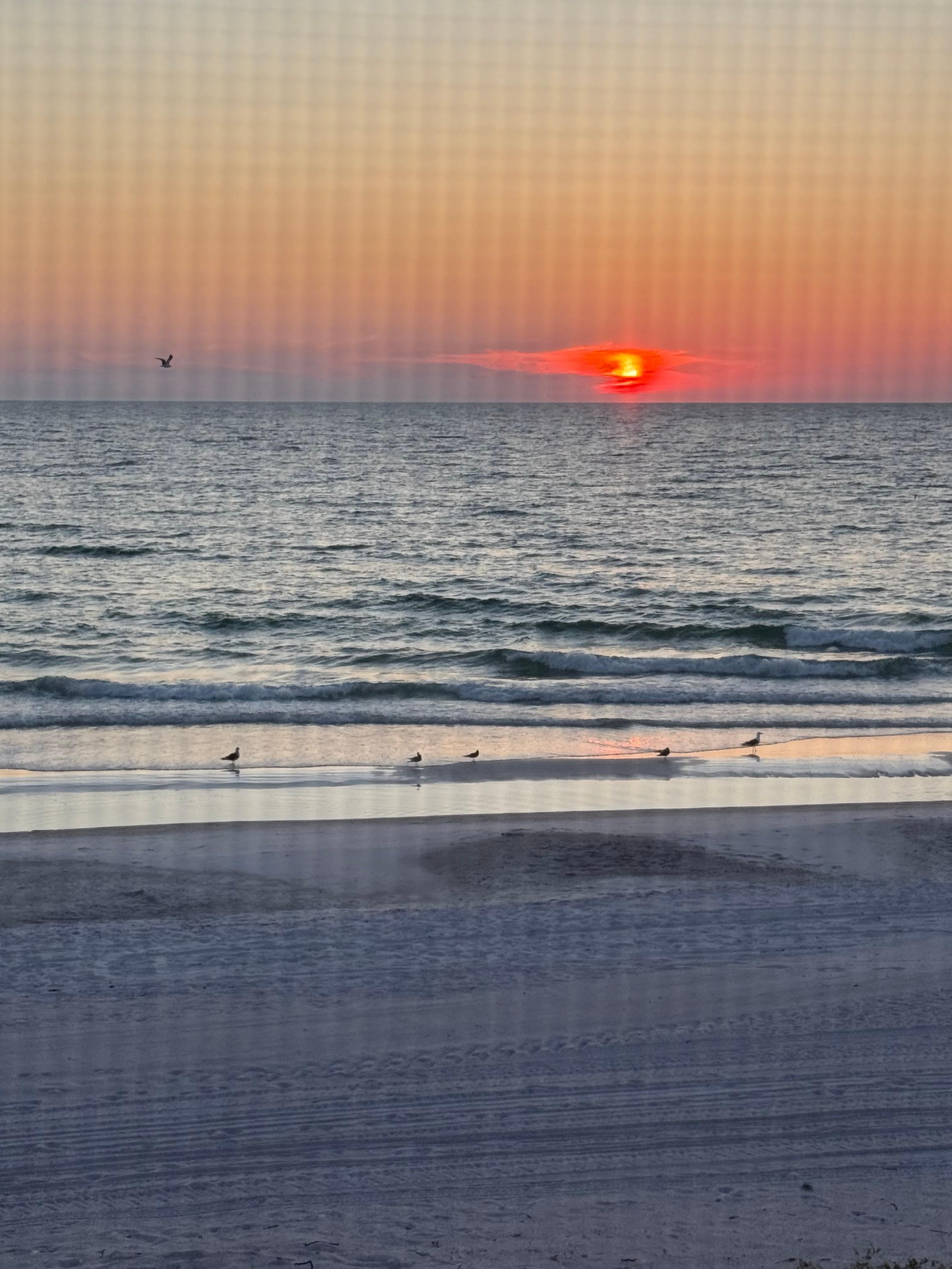 View of sunset from patio