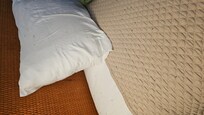 There were bugs all over the entire bed and hundreds on the floor.