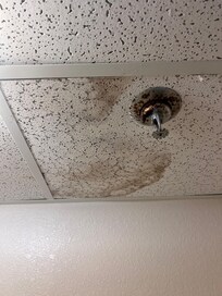 Mold on ceiling