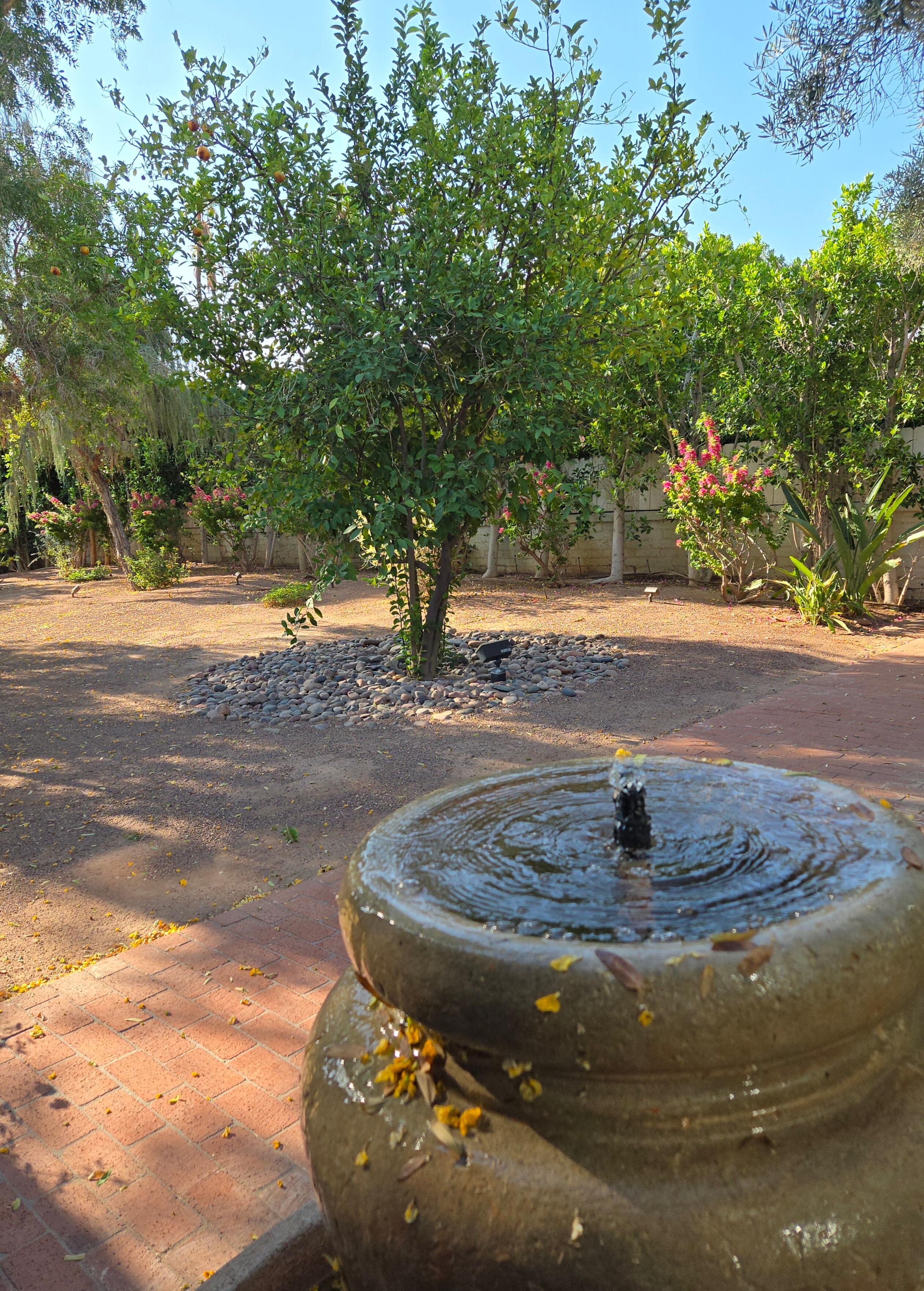 Front garden