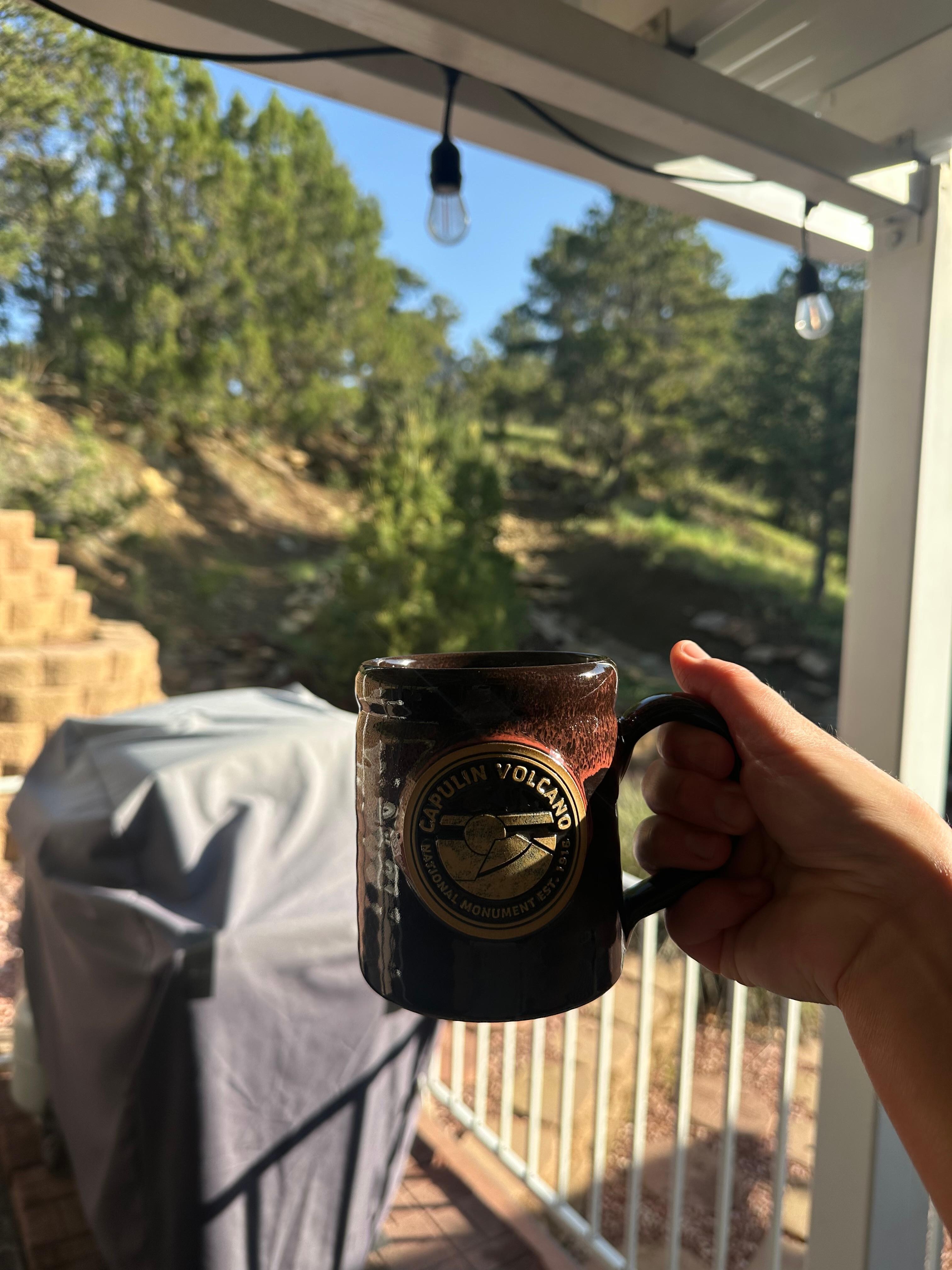 This cool mug was in the kitchen cabinet and I loved it so much I bought myself a similar one at the Capulin visitor center!