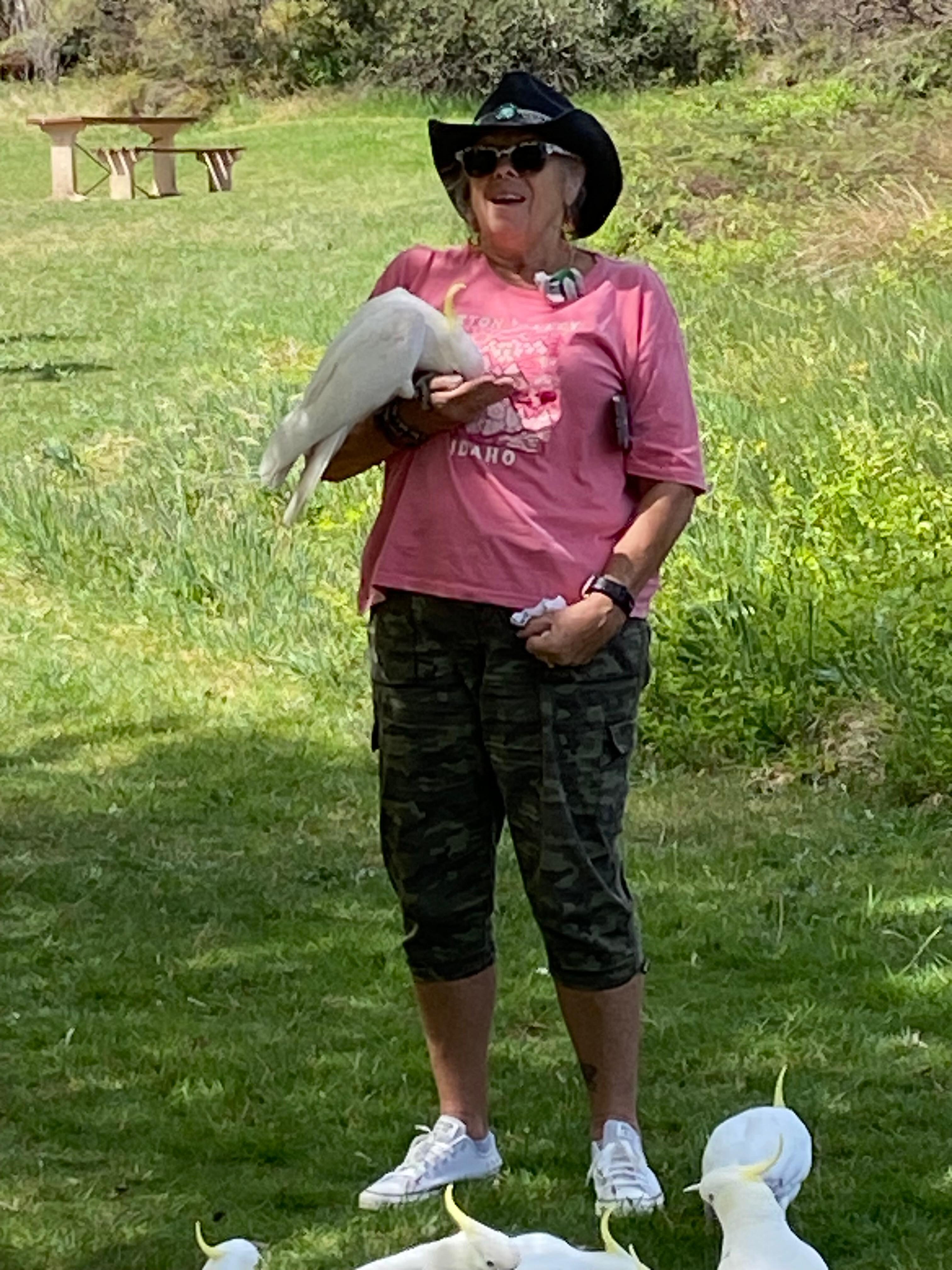 Surrounded by cockatoos 