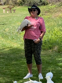 Surrounded by cockatoos