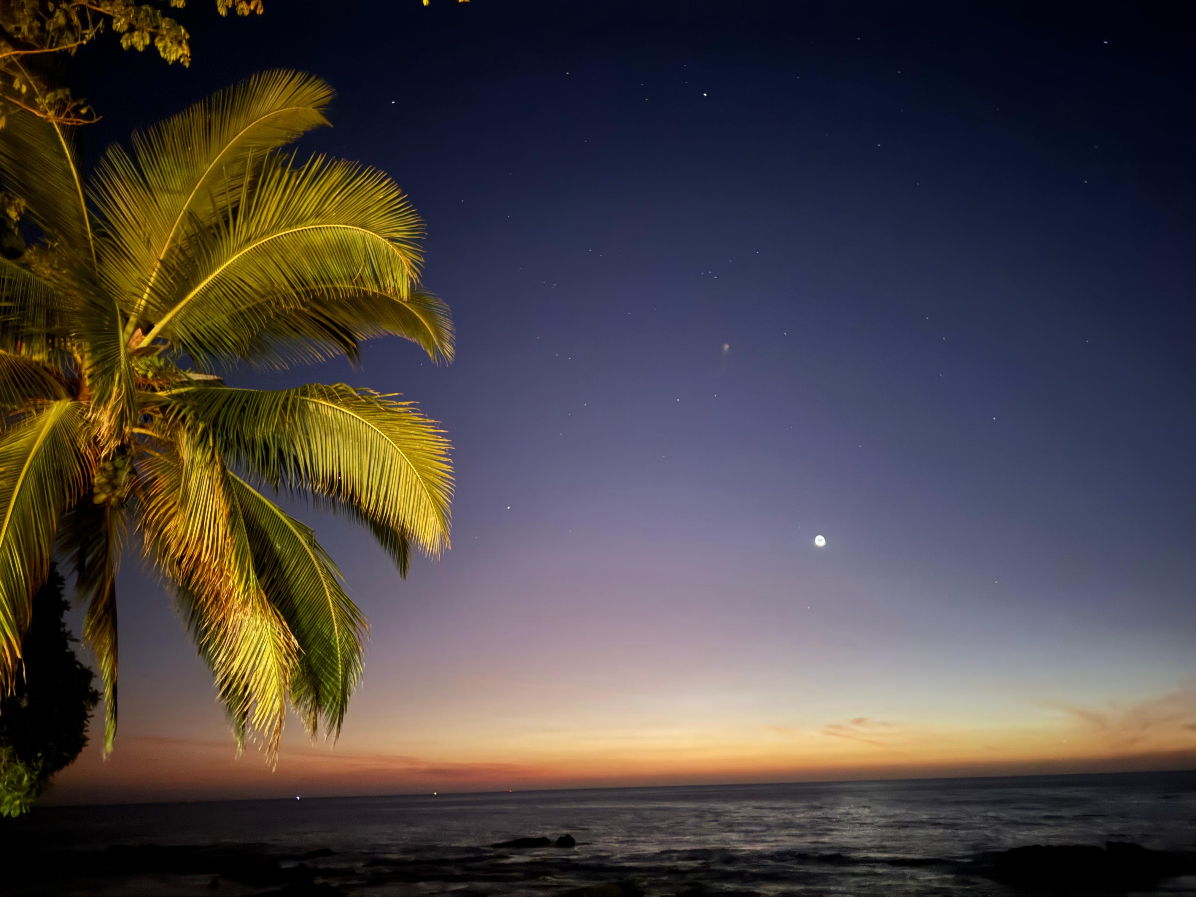 Enjoying the evening moon 