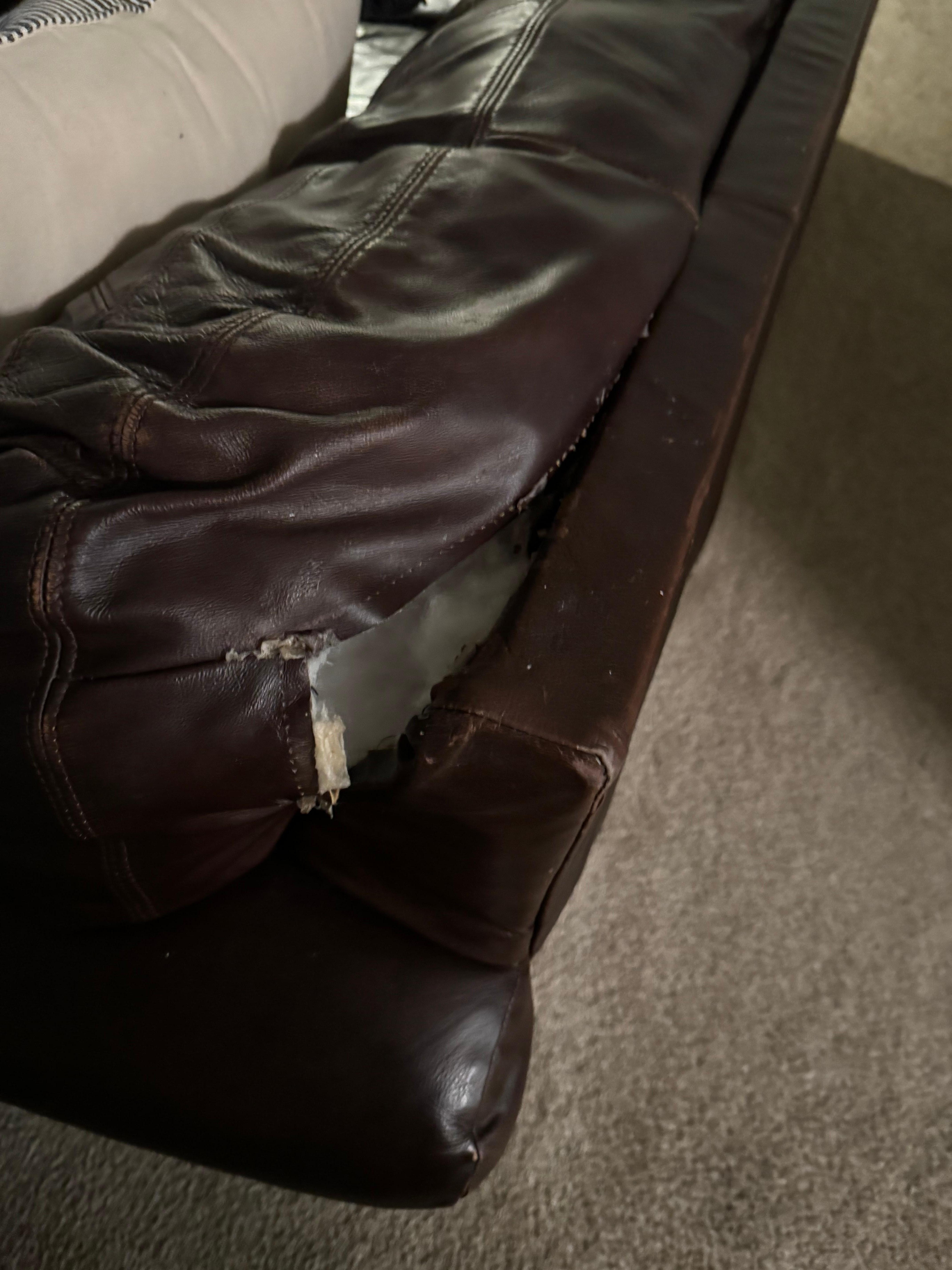 Furniture torn 