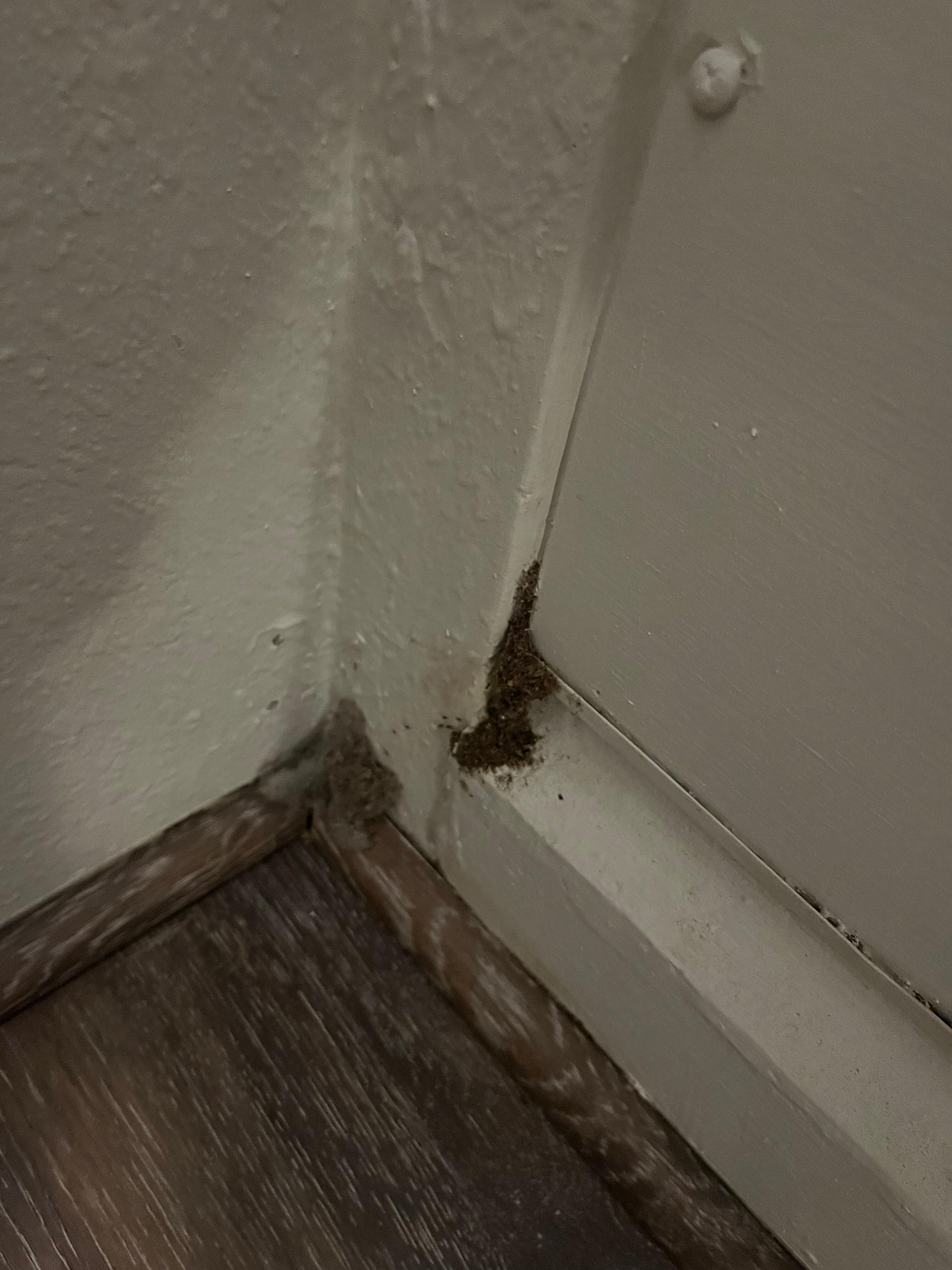 Next to the bed