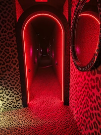 Intriguing and slightly (but genuinely) scary corridor on mystery floor. Ended in locked room with multiple locks!