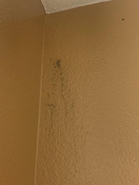 Mold in bathroom