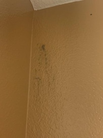 Mold in bathroom