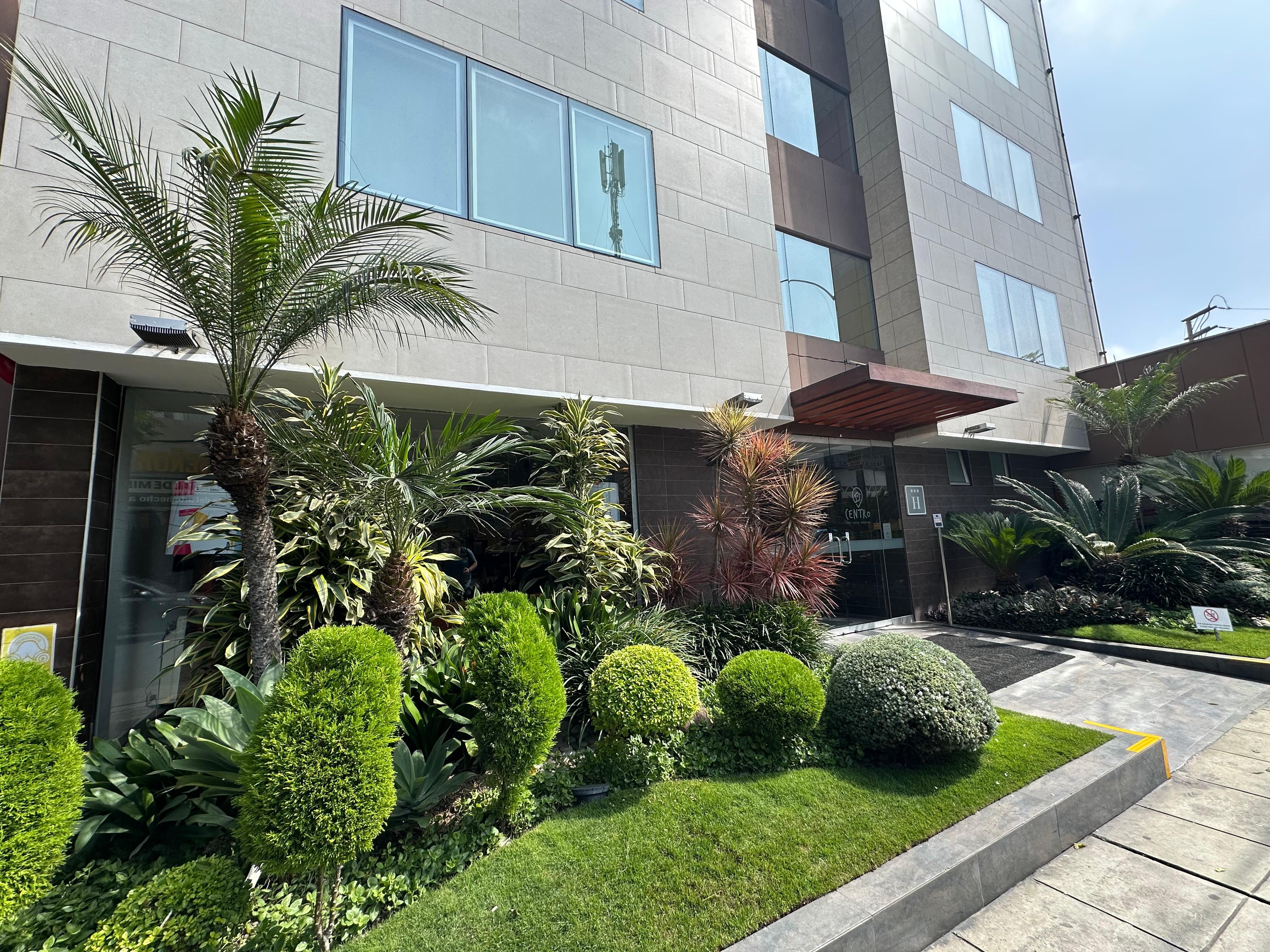 Nice landscaping 