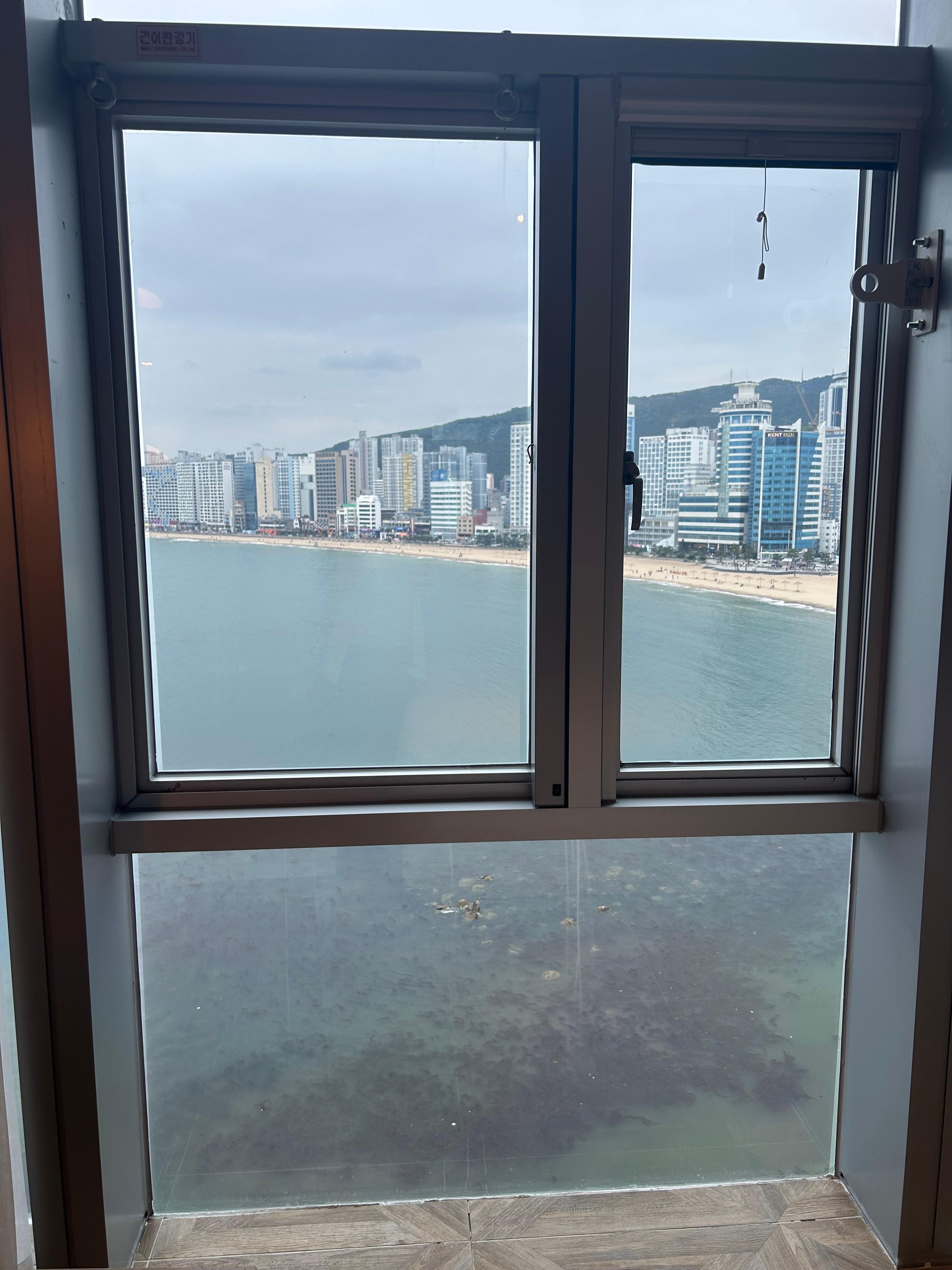 View from my room