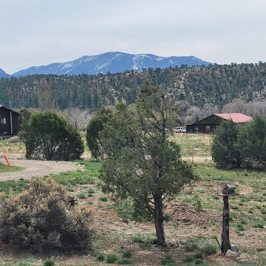 View from deck