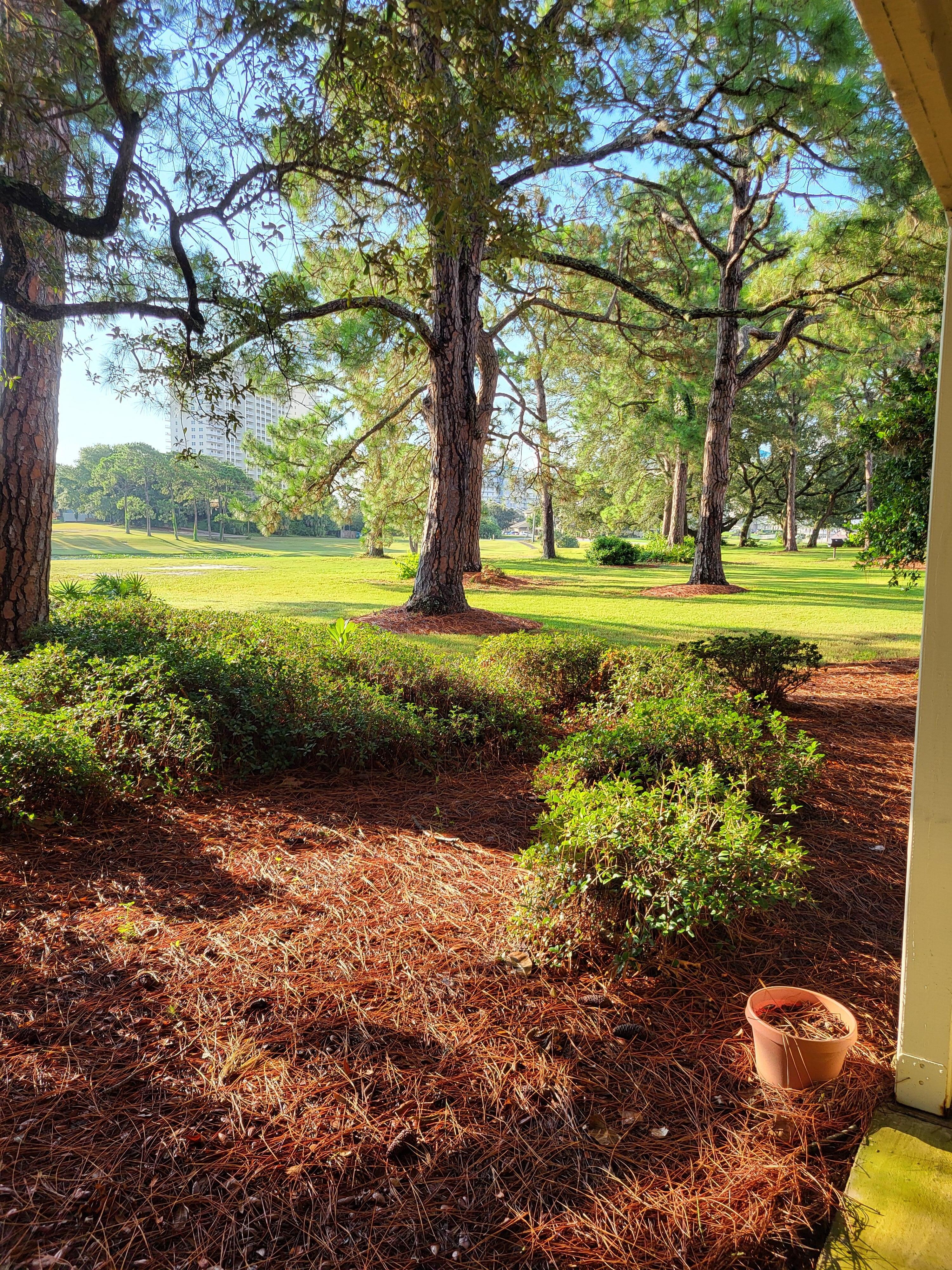 I mean, I could wake up to this every morning. 