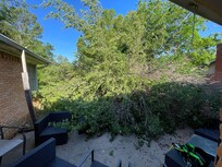 another tree felled in the back yard. woke up to the sound of several chainsaws