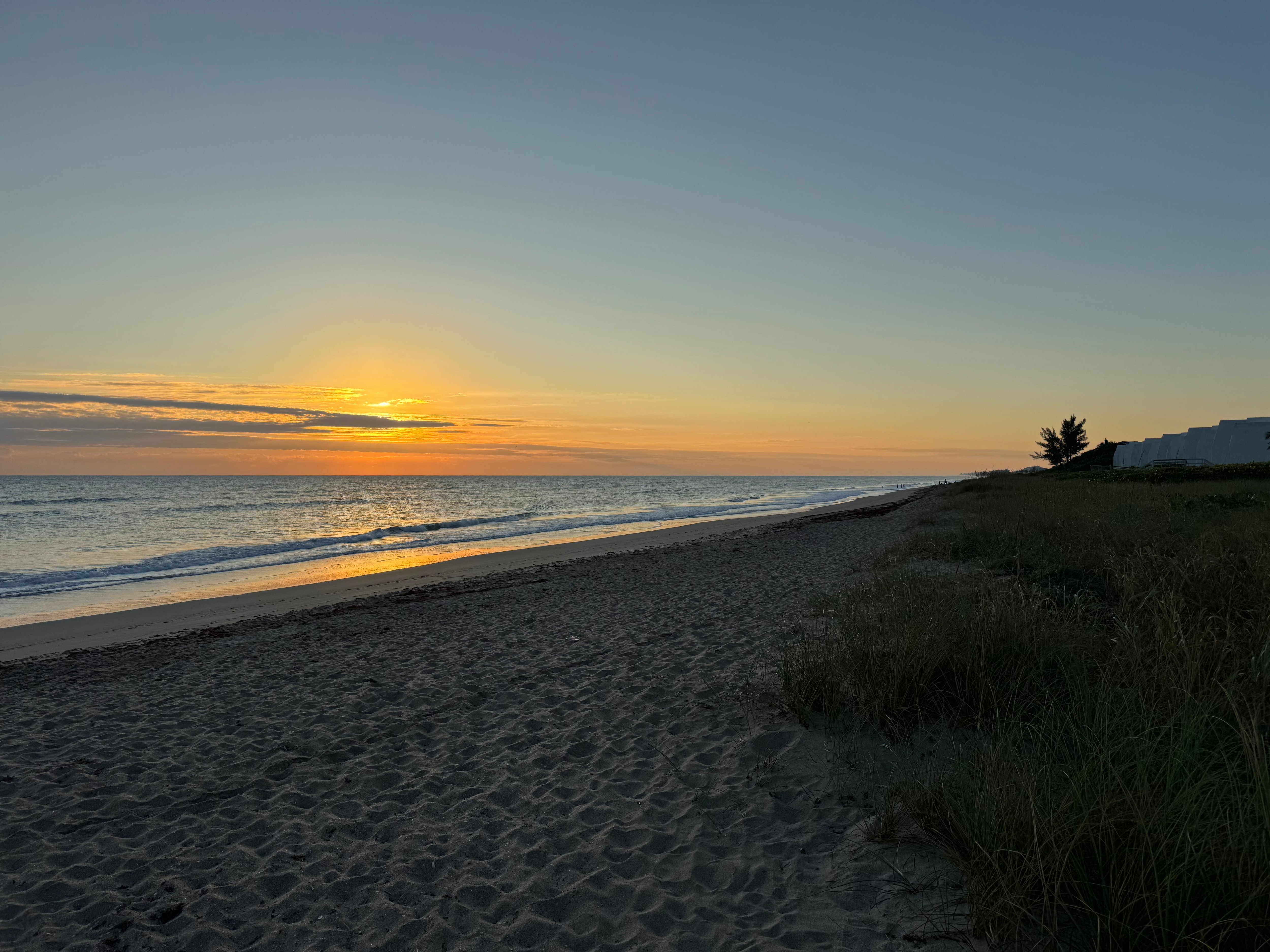 Morning from the balcony