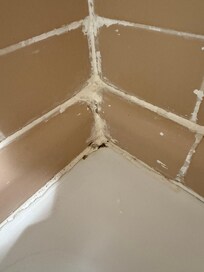Mold in the bathroom