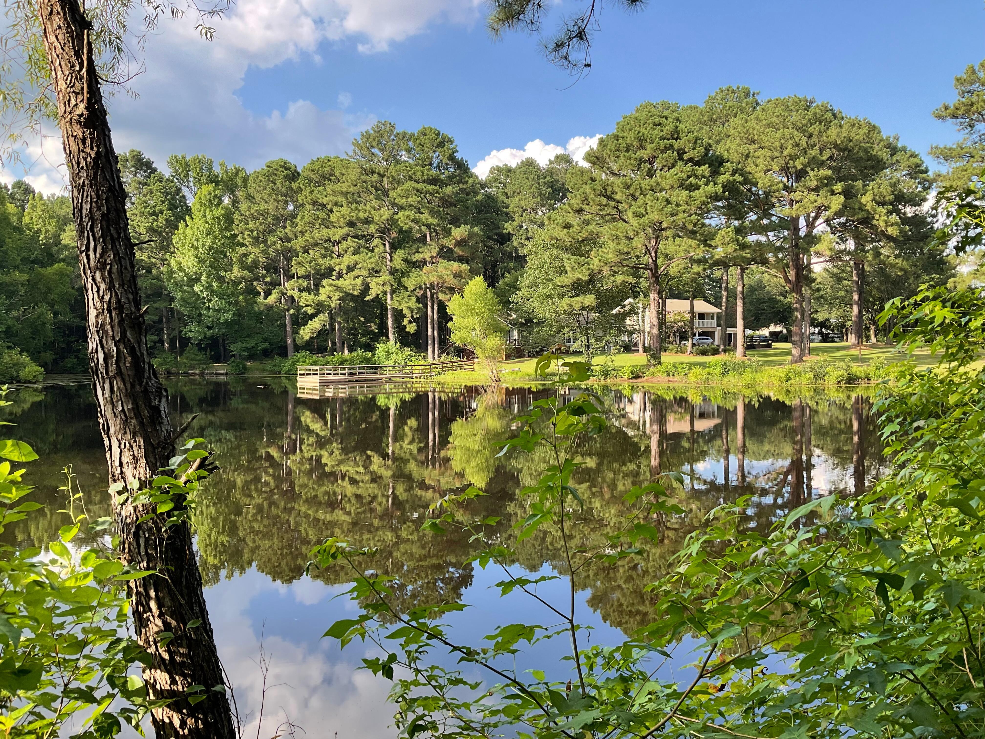 Short trail around to back side of the pond.