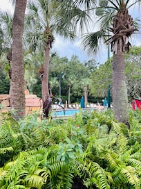 Walking to the swimming pools