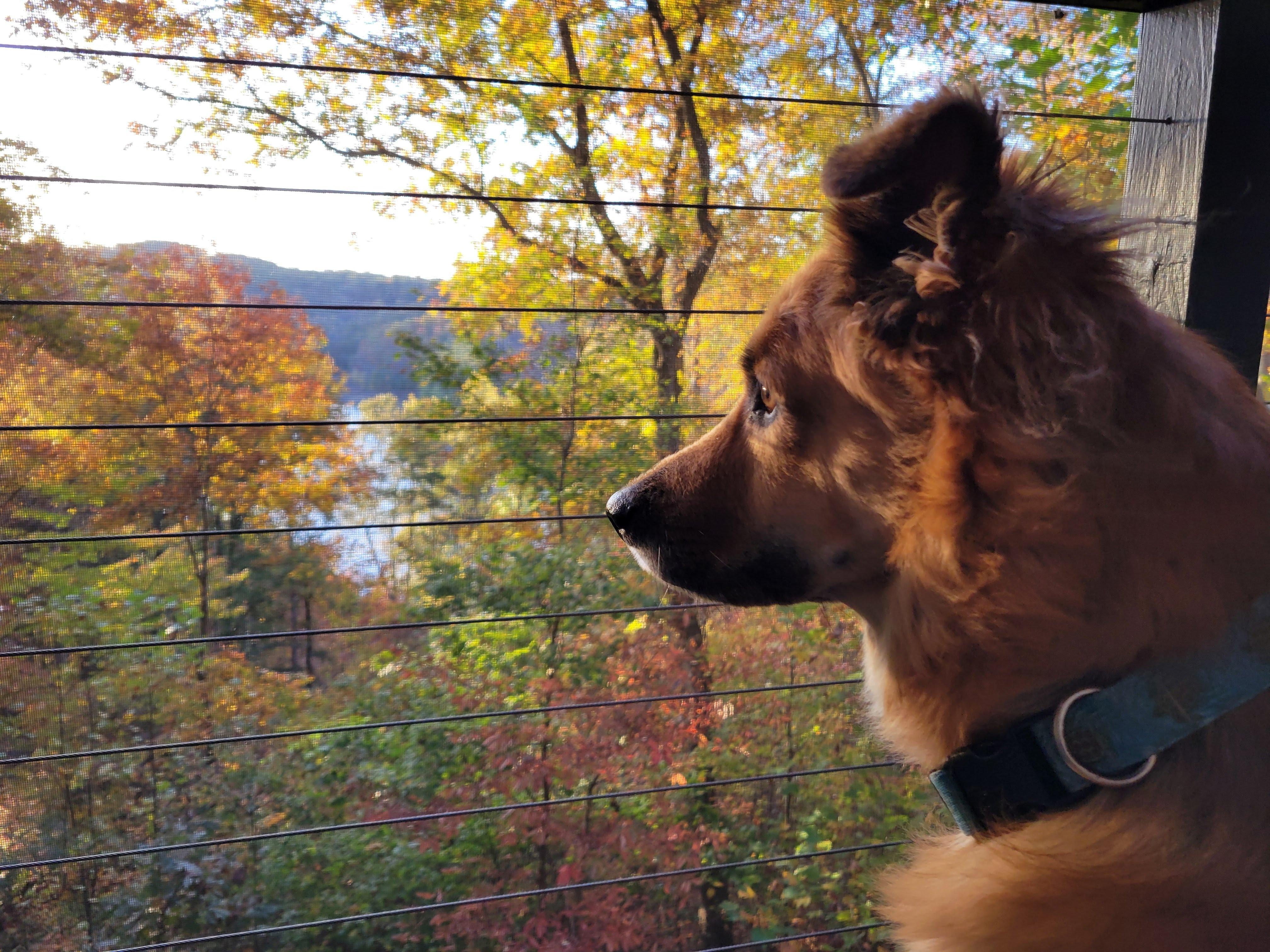 Sliver of a lake view, but also a long view!