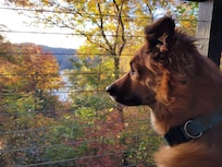 Sliver of a lake view, but also a long view!