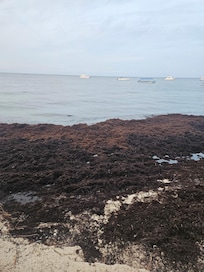 They should let people know that their beaches are not usable. I k own they can't control the seaweed but they could advise people. The place smells like sulfur because of the rotting seaweed everywhere.