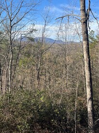 The view from the back porch.