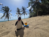 Porter the Traveling Penguin and his new Carrican Duck friend!