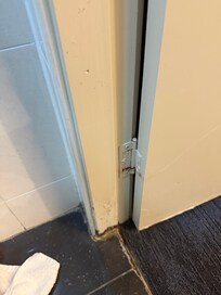 Shower floor leaks into bedroom causing carpet to be wet and mould on door frame - this must have been happening for a long time, as they’ve tried to paint over the mould