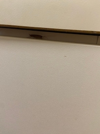 Cockroach
