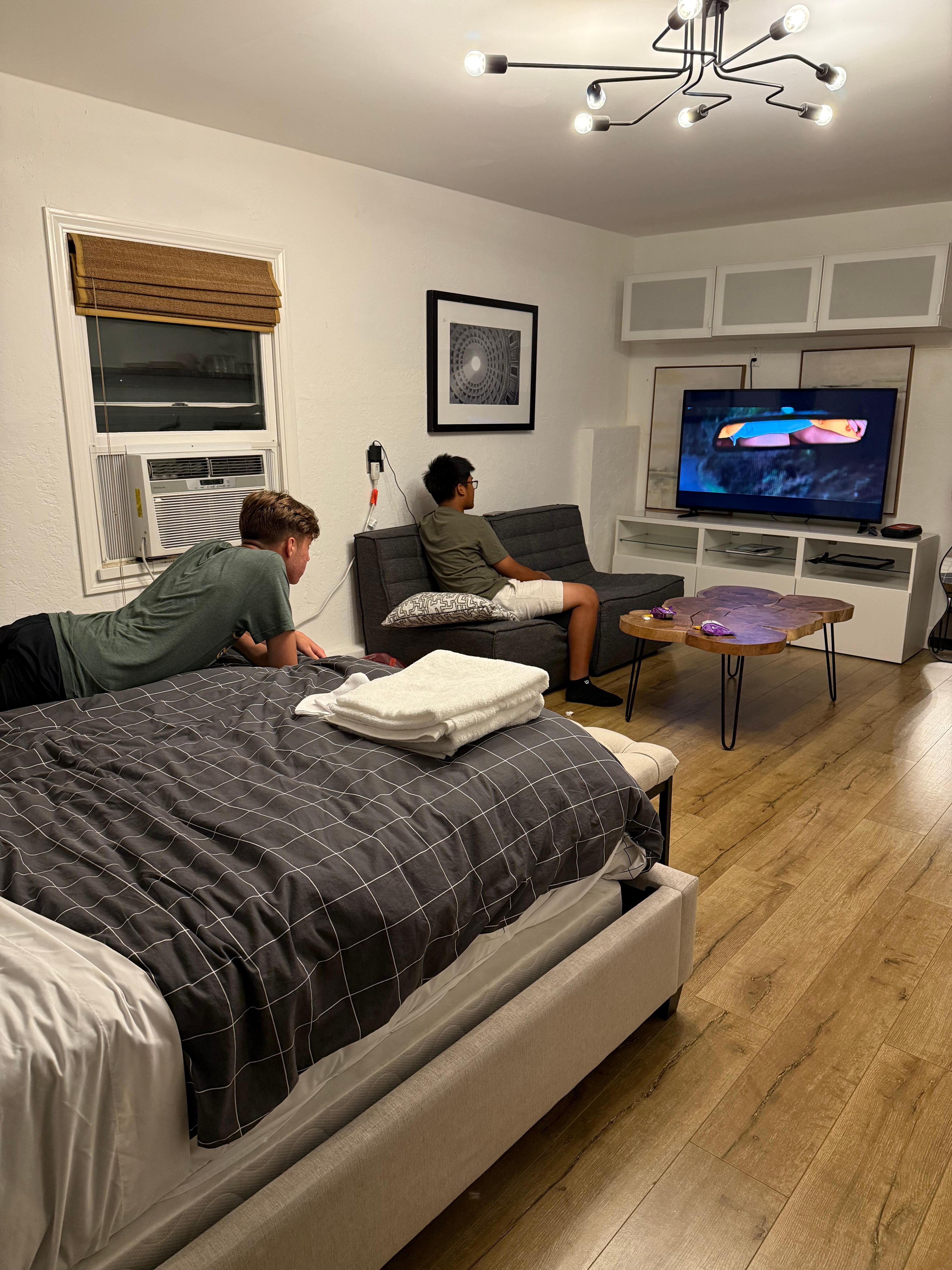 Downstairs bedroom