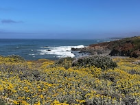 Nearby Fiscalini Park.