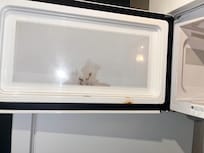 Microwave was rusting