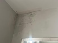 Damp wall and plaster coming off