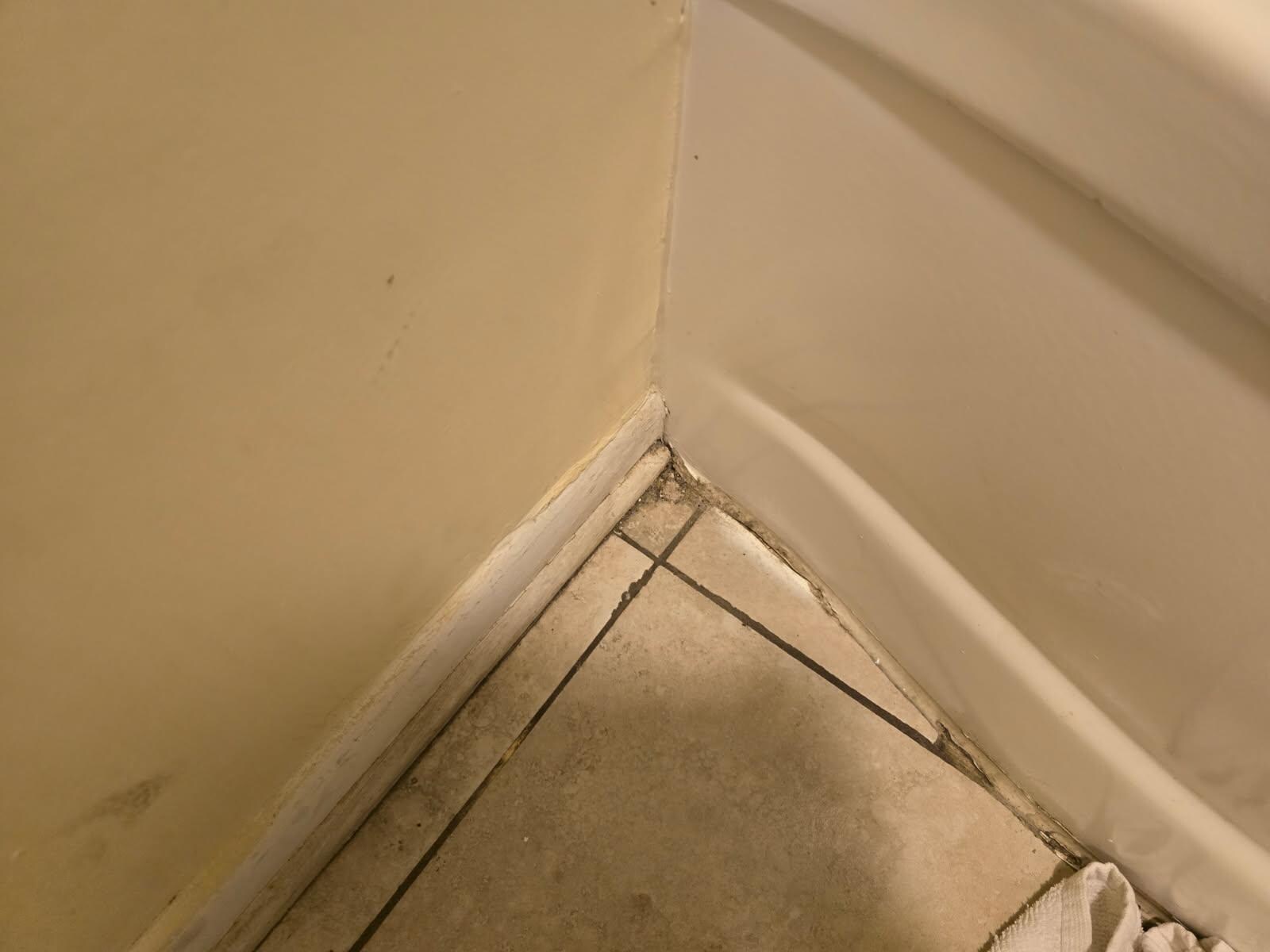 Black mold in the bathroom next to the tub