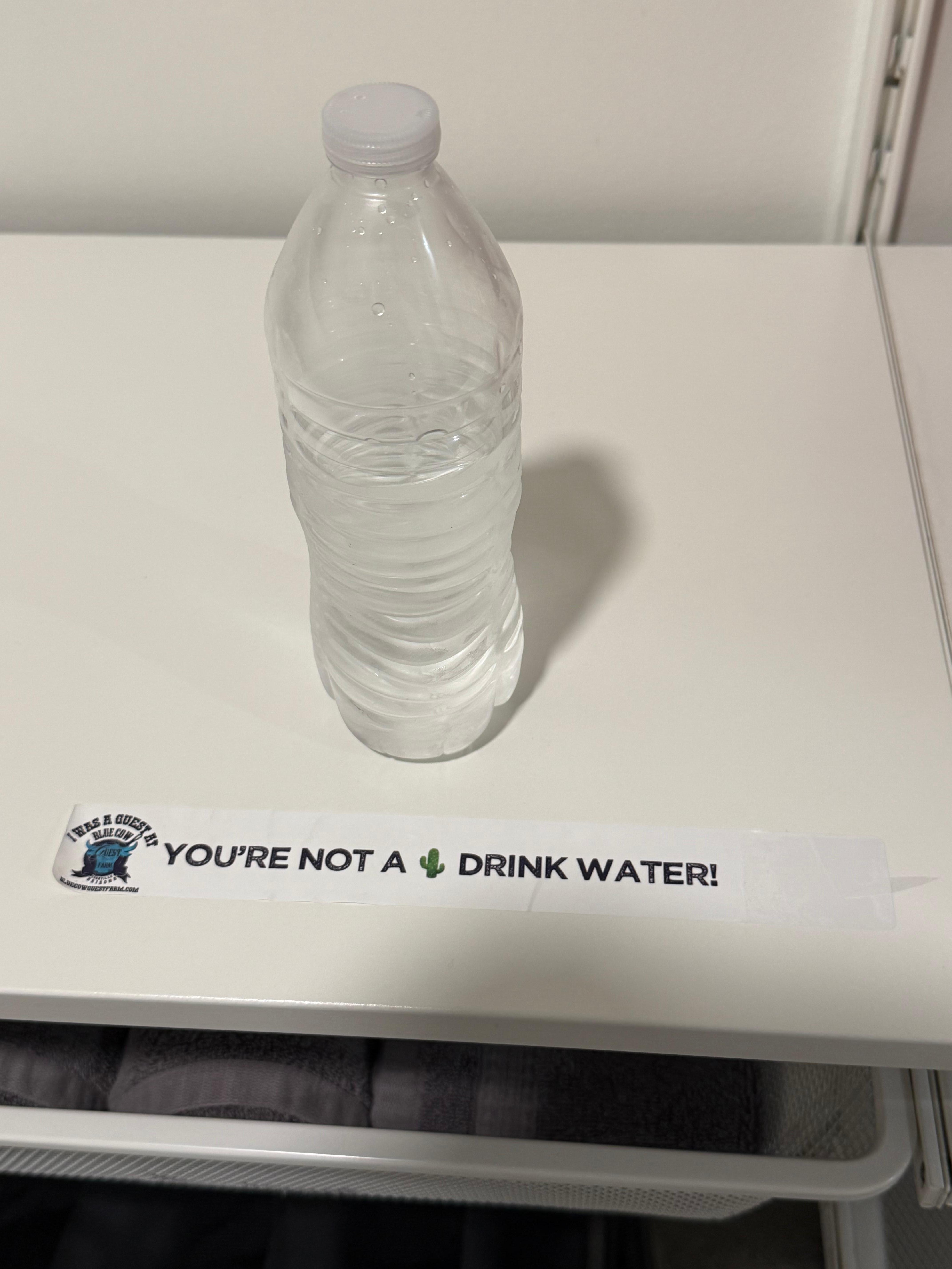 Funny and though out in even the small things