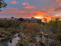 Zen Garden and gorgeous sunset