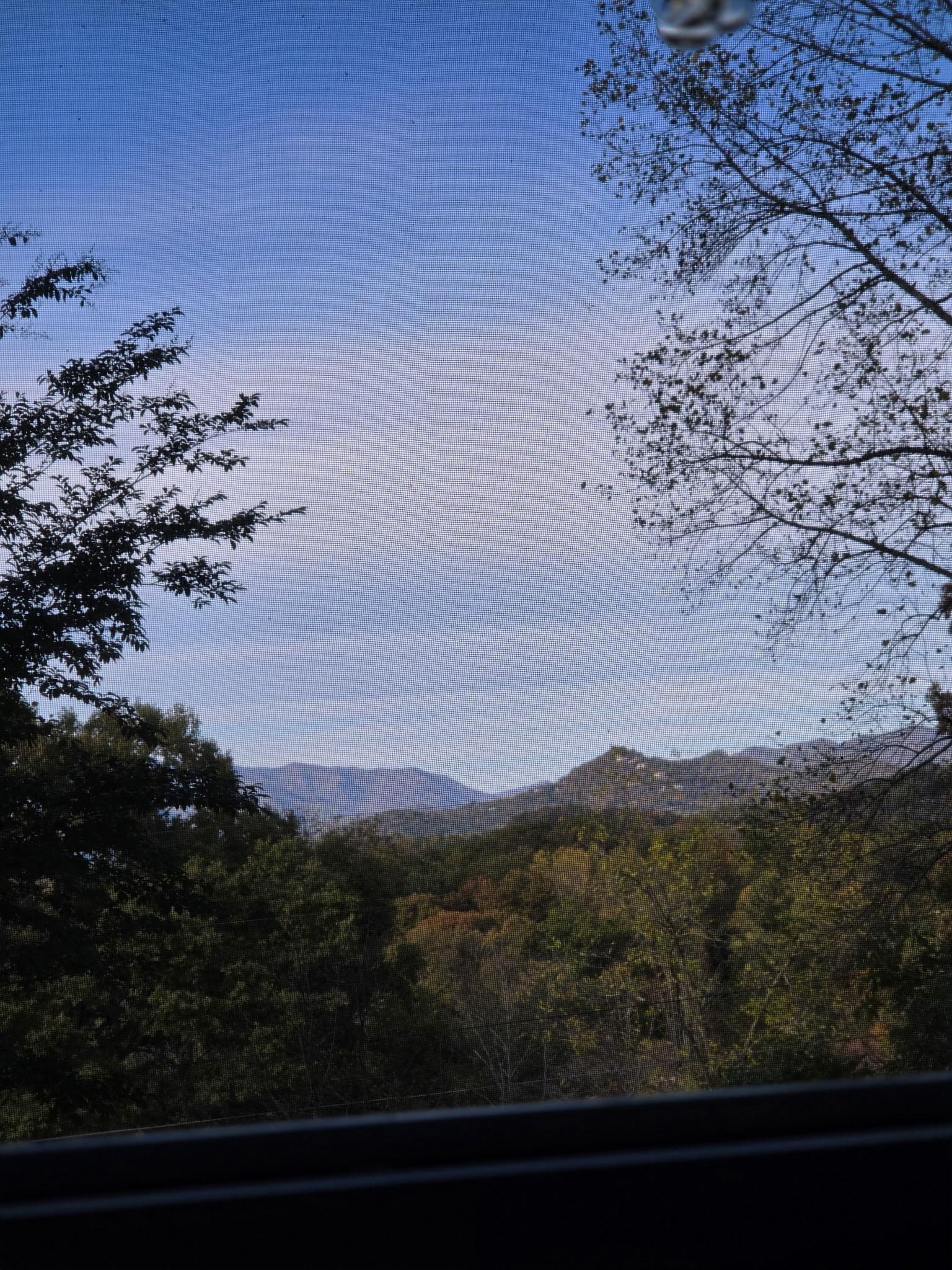 View from screen porch at back of home. 