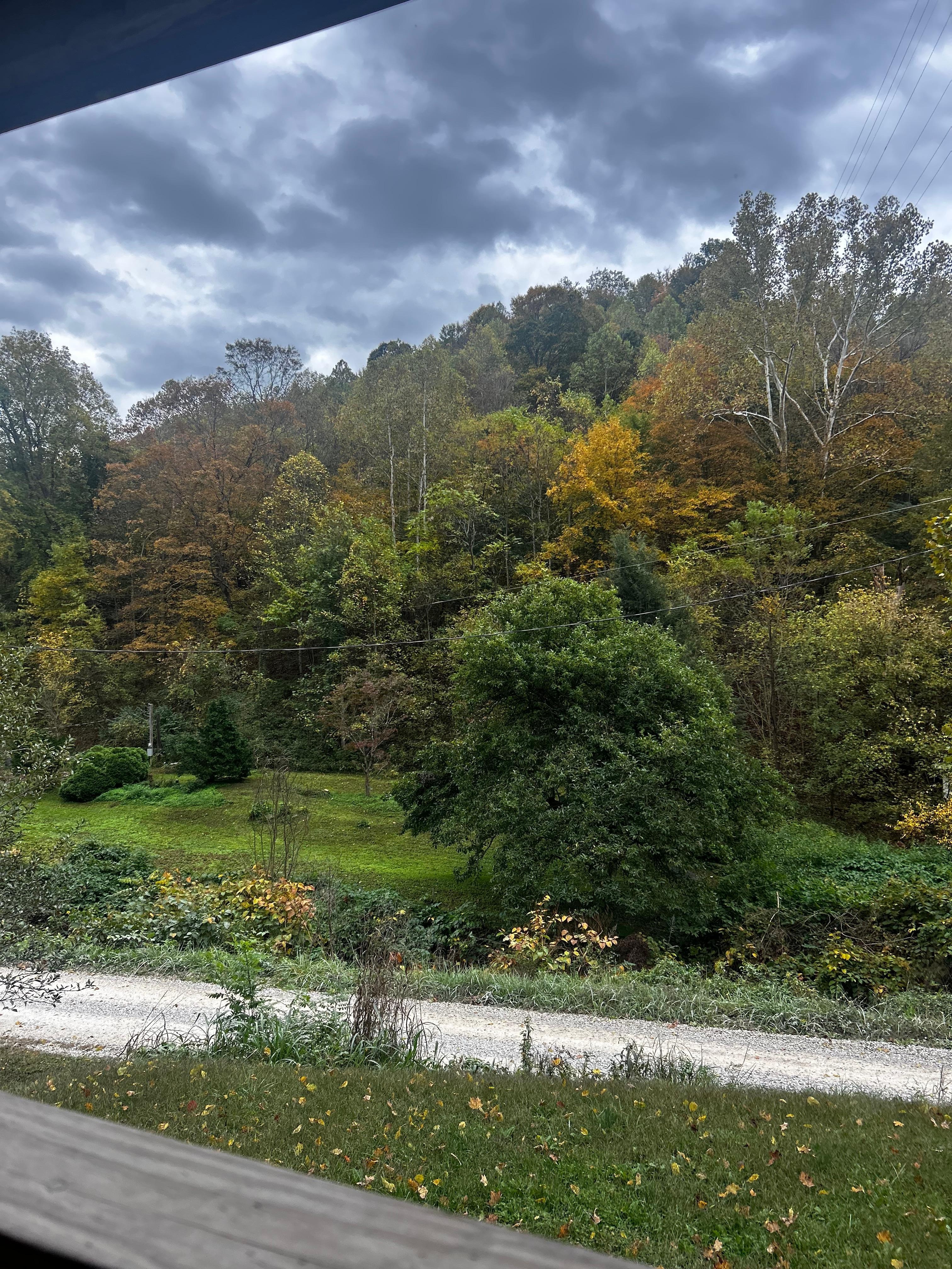 Beautiful view from the front porch. A great place for morning coffee and meditation.