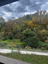 Beautiful view from the front porch. A great place for morning coffee and meditation.