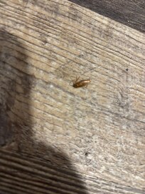 Found dead outside bathroom