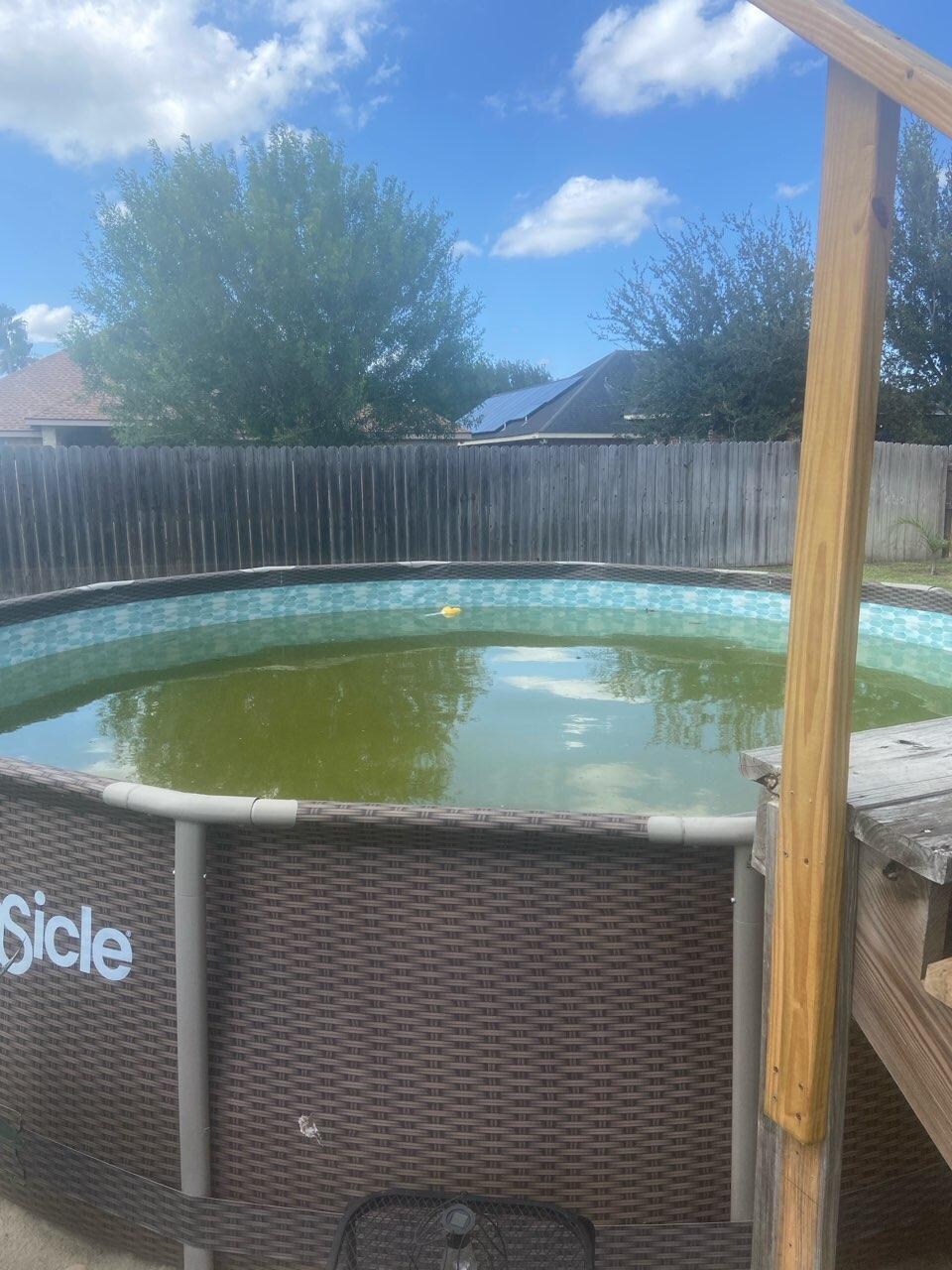 Above ground pool, brown water and trash in it..