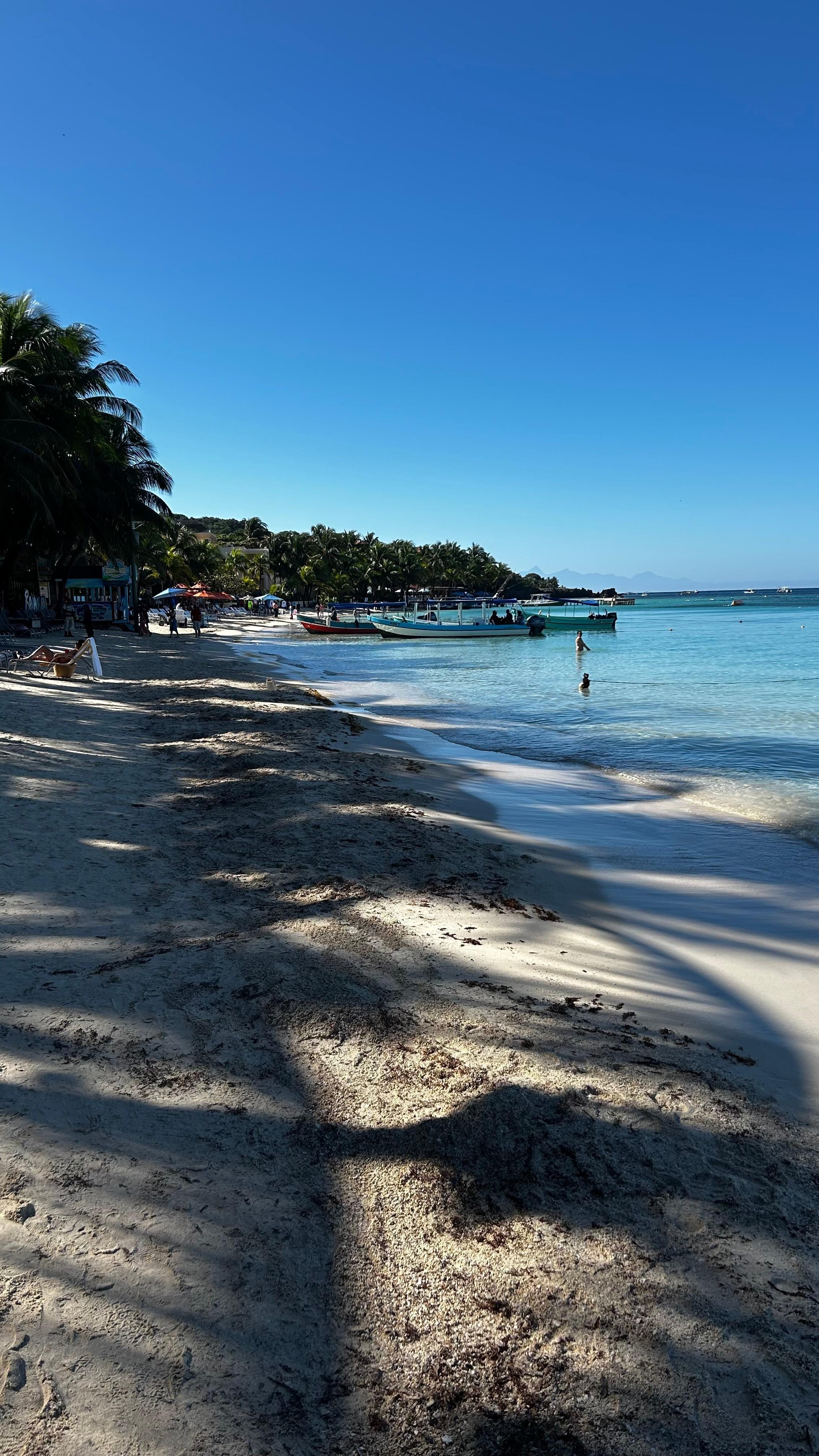 January 2026 morning beach view